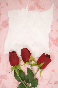 带红玫瑰的白纸