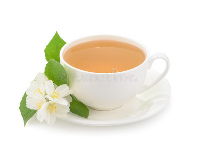 一杯绿茶与茉莉花隔离在白色的背景上