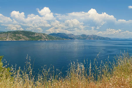 阿莫斯 海景 美女 自然 前景 秋天 植物 场景 海岸线