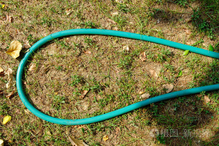 一卷绿色花园软管
