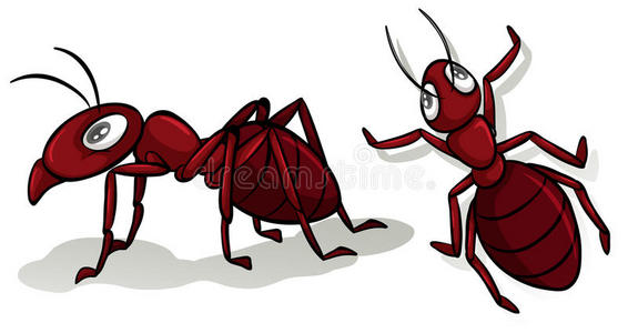 剪贴画 昆虫 绘画 动物 照片 削减 形象 物体 艺术 插图