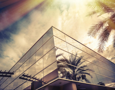 高的 棕榈 反射率 外观 天堂 镜子 玻璃 加利福尼亚 建筑学