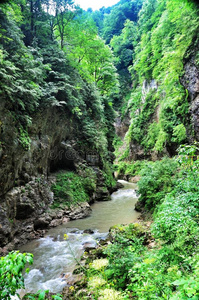 源头 风景 幻想 森林 黑穗病 树叶 冒险 傍晚 高加索