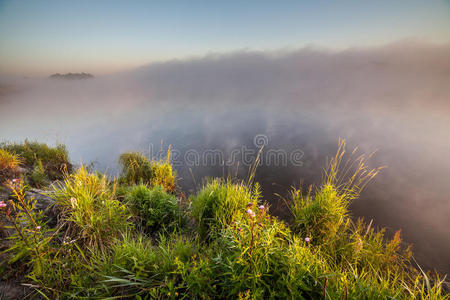 地区 薄雾 日出 云景 房子 环境 天空 早晨 树叶 风景