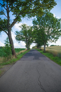 夏季乡村公路