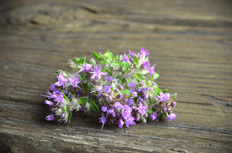 新鲜的百里香花