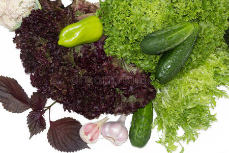 绿色健康蔬菜