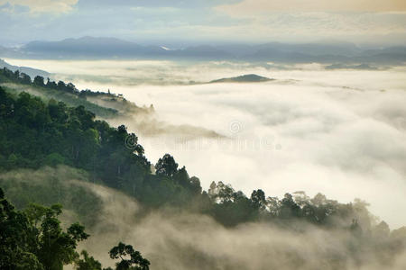 雾山