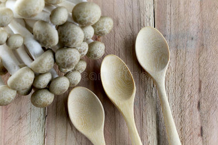 孢子 饮食 蘑菇 植物 素食主义者 真菌 食物 木材 蔬菜