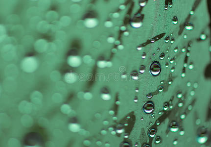 绿色色调上天然水滴的模糊