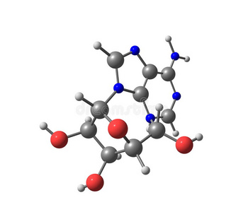 腺苷分子在白色上分离