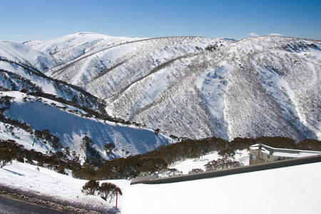 娱乐 小山 寒冷的 自然 阿尔卑斯山 风景 霍瑟姆 滑雪