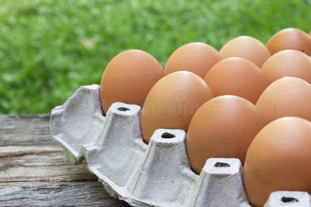 在纸盘里特写鸡蛋。