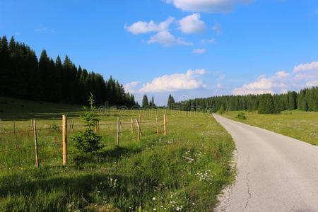 乡村公路