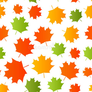 秋天 自然 植物 十月 季节 九月 花的 插图 颜色 枫树