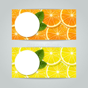柑橘类水果横幅