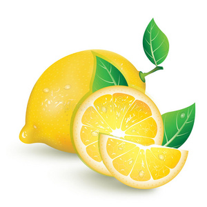 柠檬 水果 树叶 插图 自然