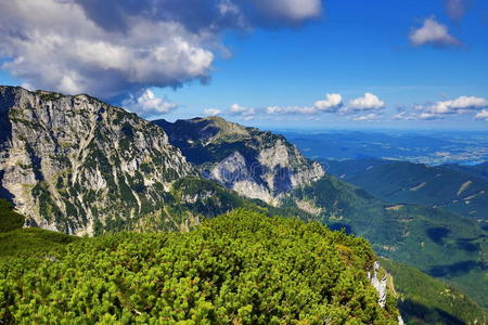 森林 文化 围绕 教堂 云景 奥地利 达赫斯坦 阿尔卑斯山