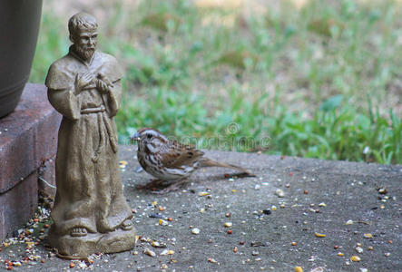 祈祷 和平 过路人 宗教 麻雀 小雕像 条纹 阿西西 弗朗西斯