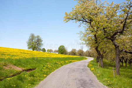 捷克农村夏季景观的贫瘠道路