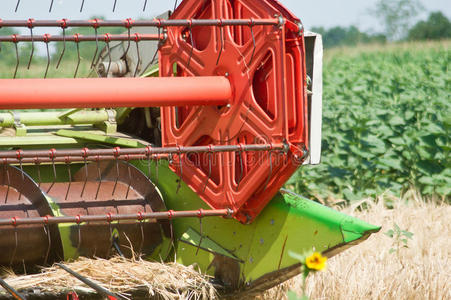 机器 农田 结合 乡村 行业 秋天 风景 工作 小麦 农场
