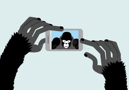 自拍 摄影 有趣的 大猩猩 可爱的 黑猩猩 肖像 插图 美丽的