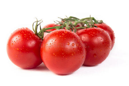 食物 节食 市场 营养 露水 农业 番茄 特写镜头 生产