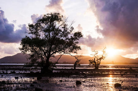 指向 太阳 海洋 暴风雨 季节 风景 日落 美女 颜色 日出