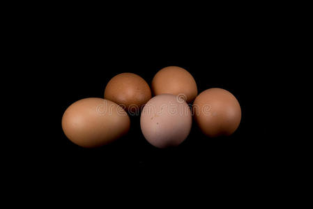 卡路里 乳制品 早餐 鸡蛋 烹饪 食品 赡养费 复活节 农场
