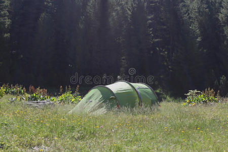 草坪 小山 追求 公园 林间空地 闲暇 露营 照片 地面