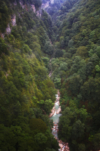 美好的 伟大的 旅行 太阳 小山 夏天 黑海 美丽的 游客