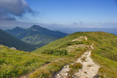 高的 小山 公园 鞑靼 自然 全景图 喀尔巴阡山 美丽的