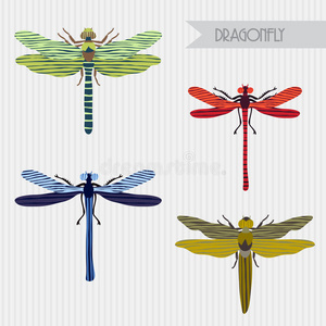 蜻蜓收藏的平面彩色插图。 矢量植物图形集。