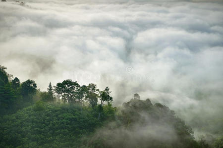 雾山