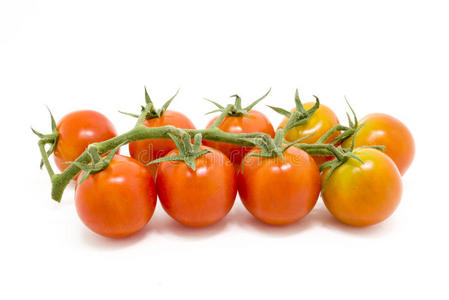白色背景下分离的新鲜番茄