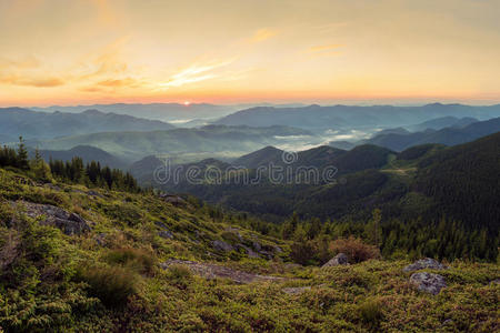 阳光 场景 范围 天空 乌克兰 春天 欧洲 夏天 风景 森林