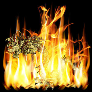 带火的中国金龙照片