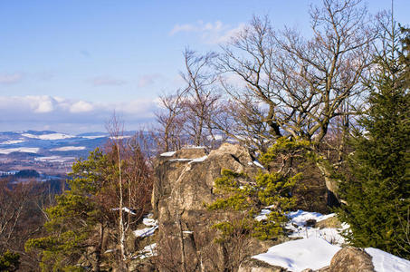 高的 徒步旅行 小山 风景 松木 国家的 季节 冬天 寒冷的