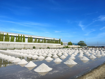 农民 晶体 池塘 制造 夏天 自然 亚洲 行业 泰国 咸咸的