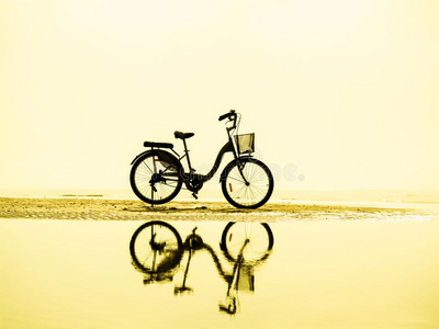 日落时的自行车轮廓。 夏天的风景