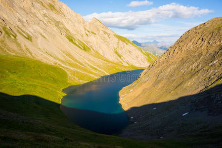 环境 自然 风景 高的 极端 意大利 阿尔卑斯山 发现 草地