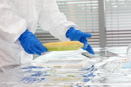 评价 食物 基因 计算机 增强 玉米 工程 齿轮 实验
