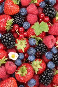 水果浆果背景草莓，蓝莓和红色