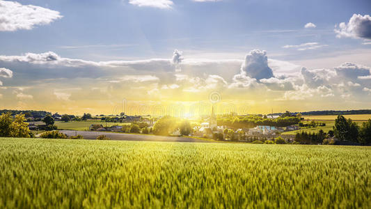 农业 作物 日出 收获 法国 植物 风景 栽培 日落 地平线