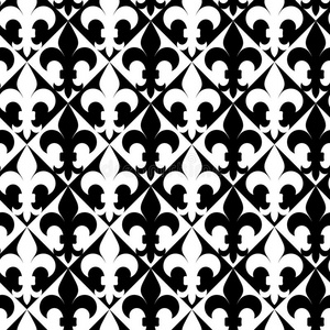 黑白交替的跳蚤照片