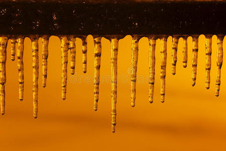 冻结 寒冷的 冷冰冰的 自然 一月 季节 气候 特写镜头