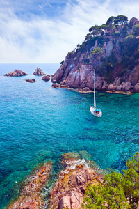 夏天 风景 科斯塔 海湾 岩石 海洋 海景 海岸线 美丽的