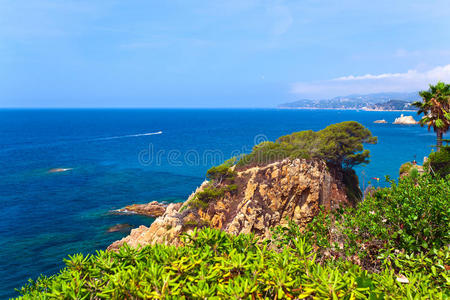 布拉瓦 海滩 海景 美丽的 假期 科斯塔 棕榈 旅行 夏天