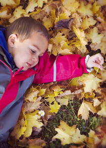 孩子躺在秋天的树叶里