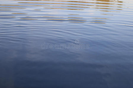 太阳 透明的 美丽的 天空 海洋 海的 水塘 颜色 自然